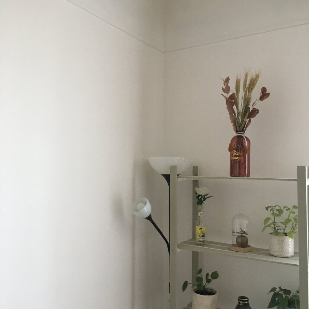 Appartement à rénover, recherche d'ambiance et personnalisation, projet paris