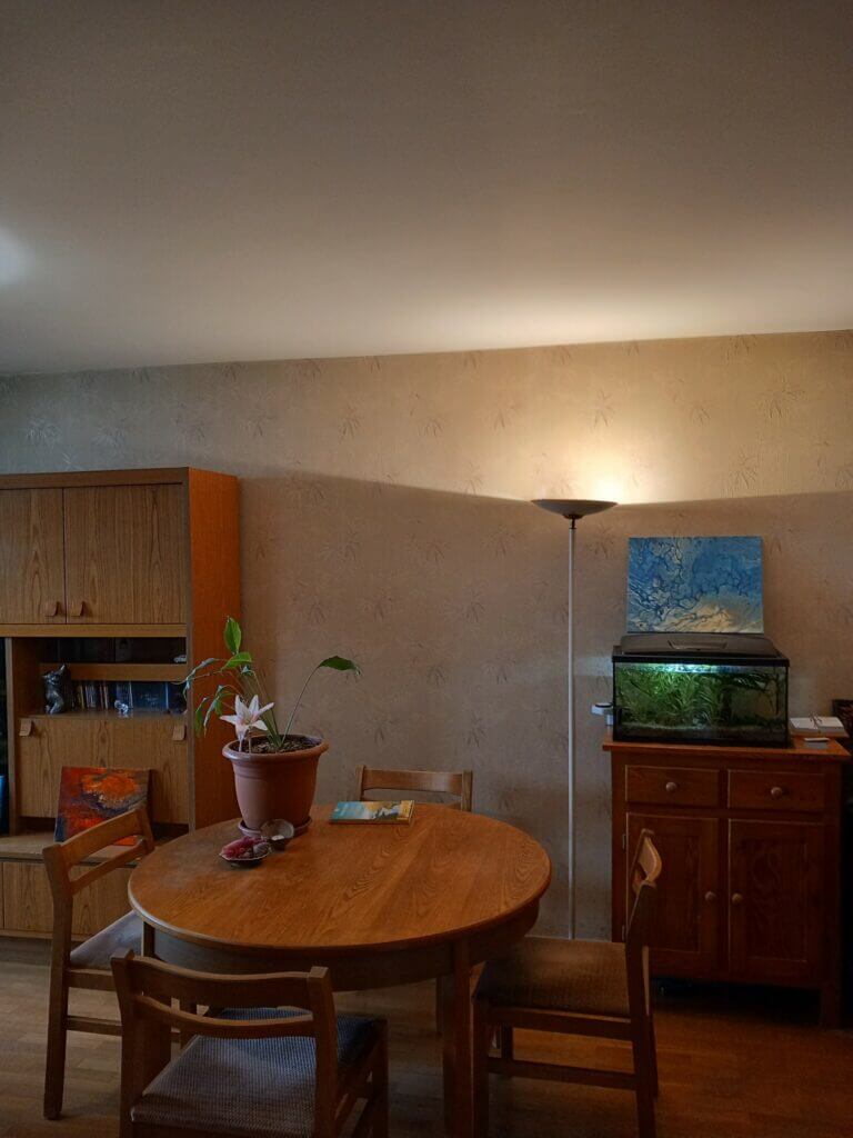 Rénovation d'une salle à manger dans un appartement parisien situé plein ouest, parquet en bois massif